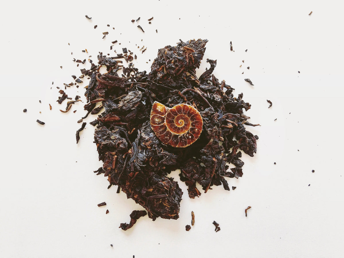 Fengqing Laoshu Pu'er 普洱茶