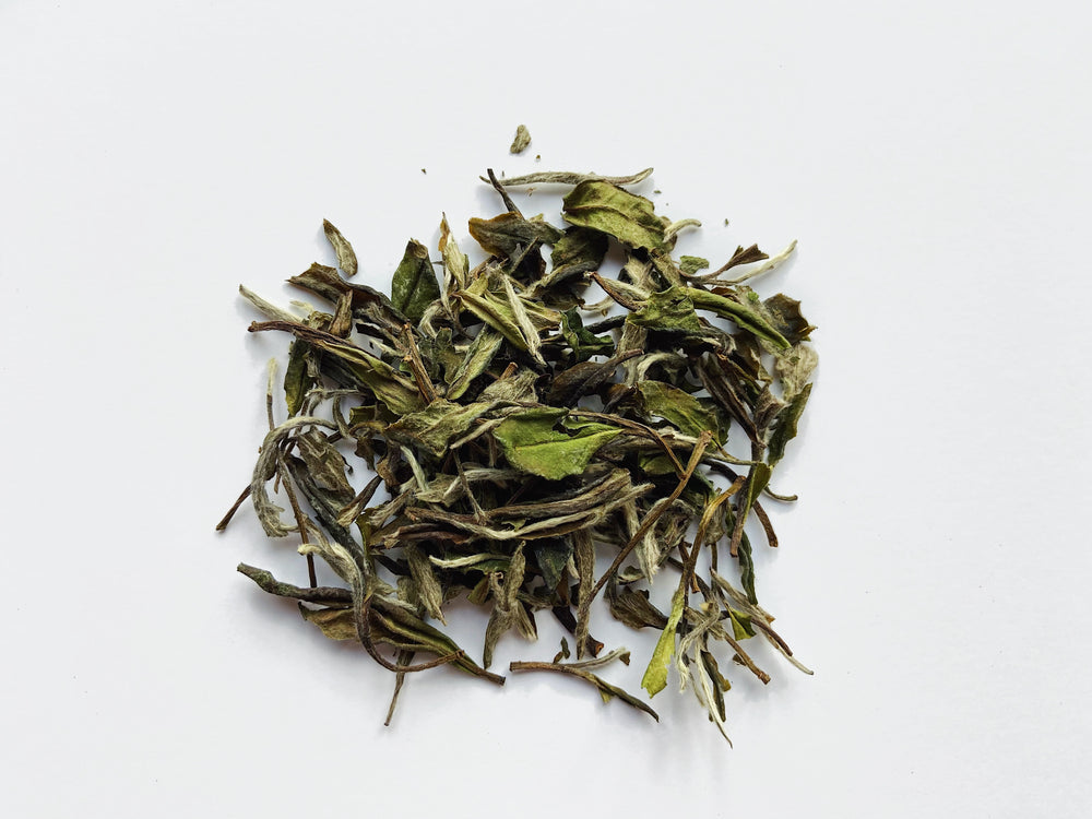 Elysian Bai Mudan 白牡丹