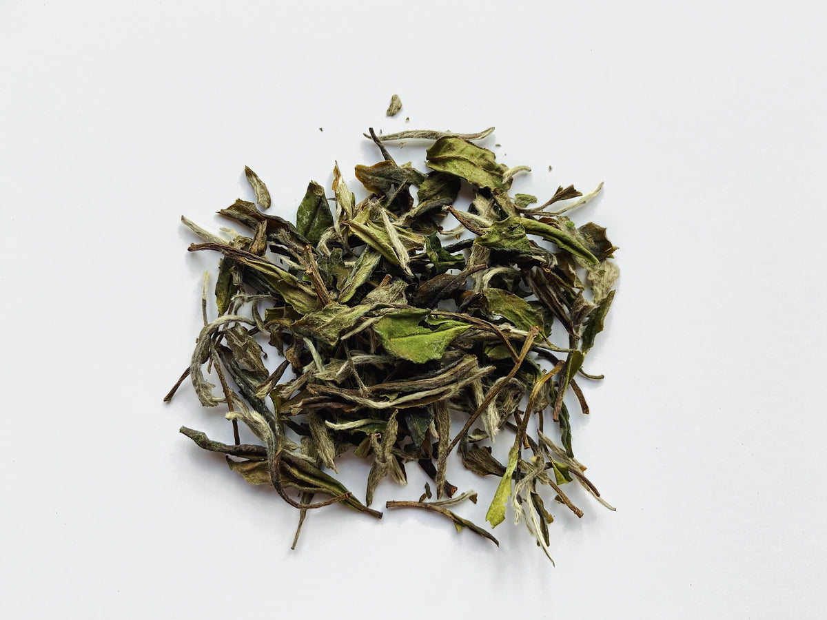 Elysian Bai Mudan 白牡丹