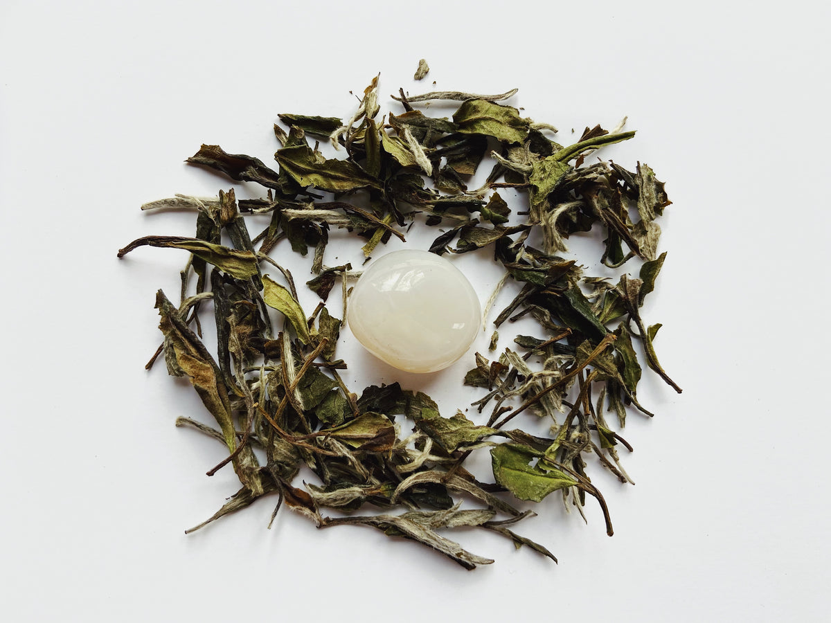 Elysian Bai Mudan 白牡丹