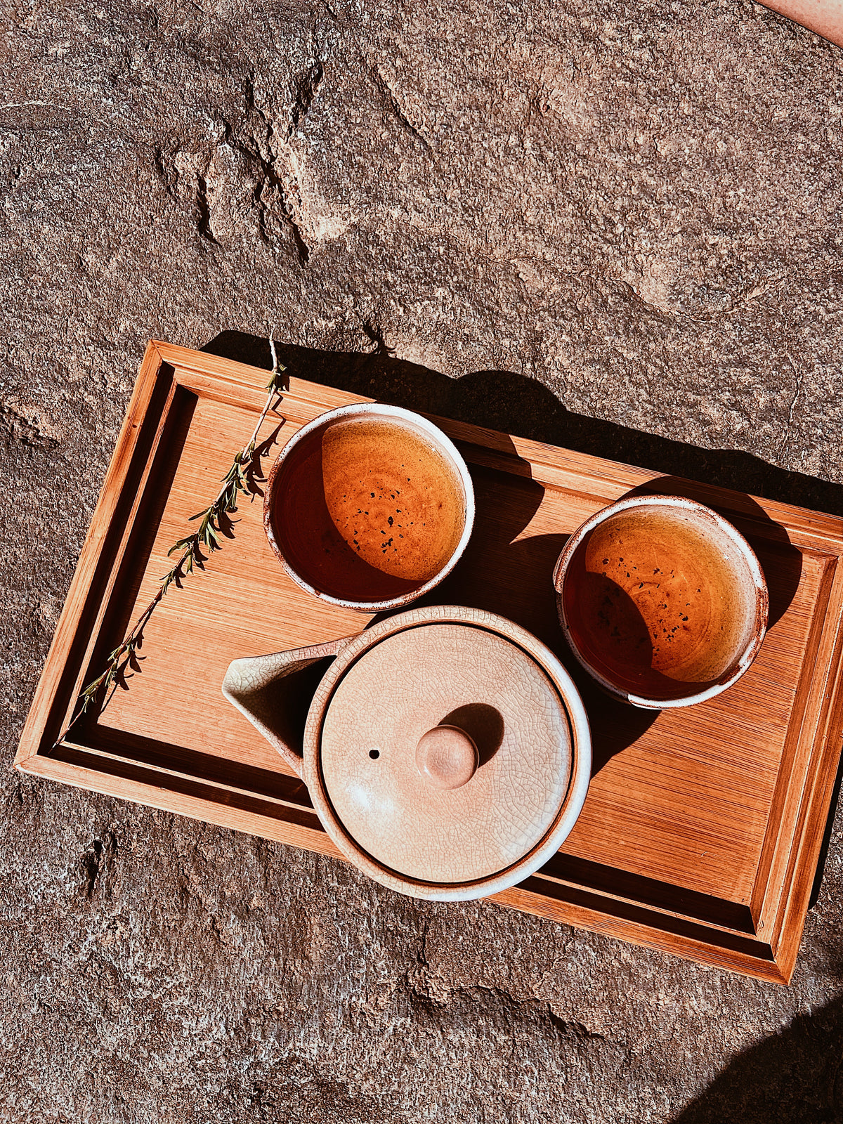 Sakura Koucha 紅茶