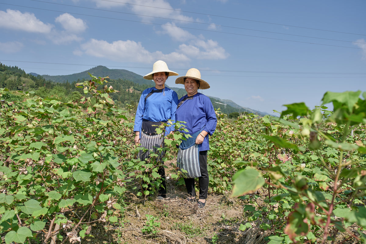 CHAXI 茶席 Tea Ritual Full Bundle