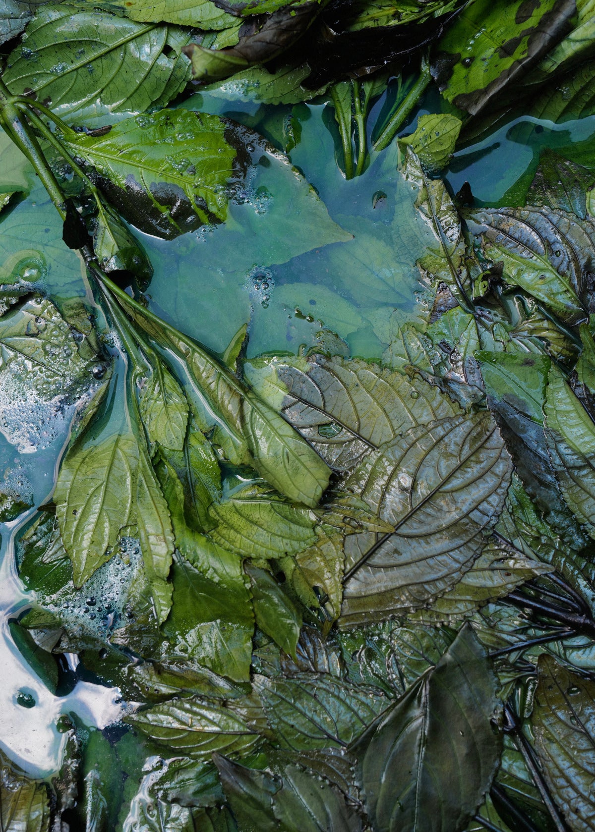 DIAN YUN 靛云 Tea Journey Bag