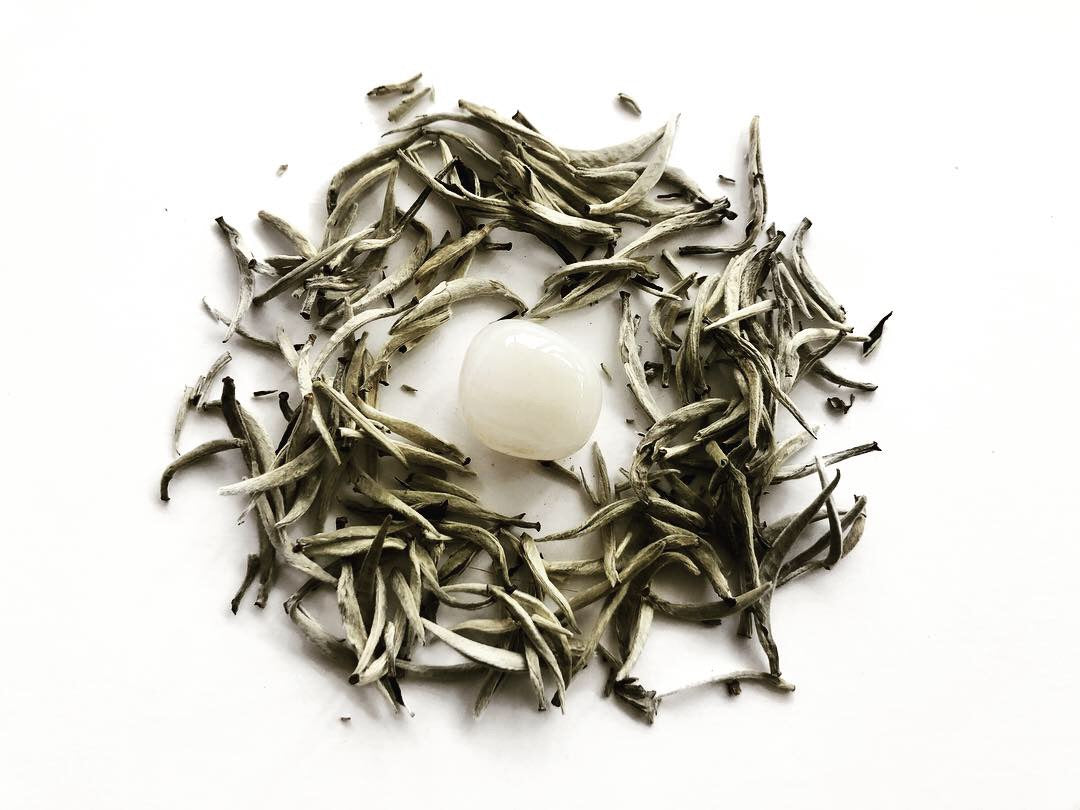 Kai Yinzhen 白毫银针