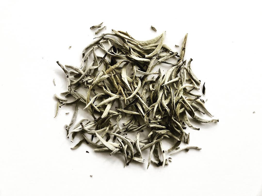 Kai Yinzhen 白毫银针