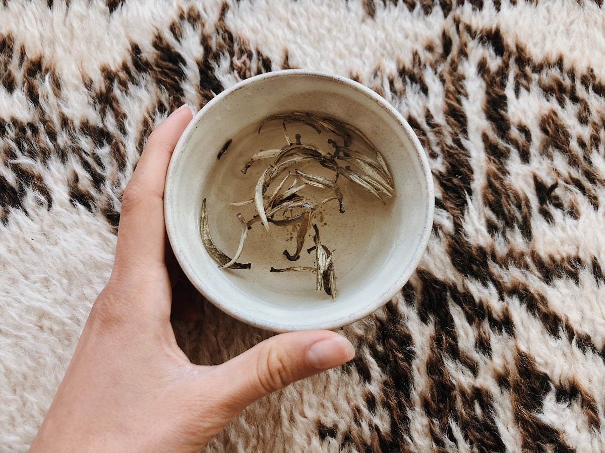 Kai Yinzhen 白毫银针